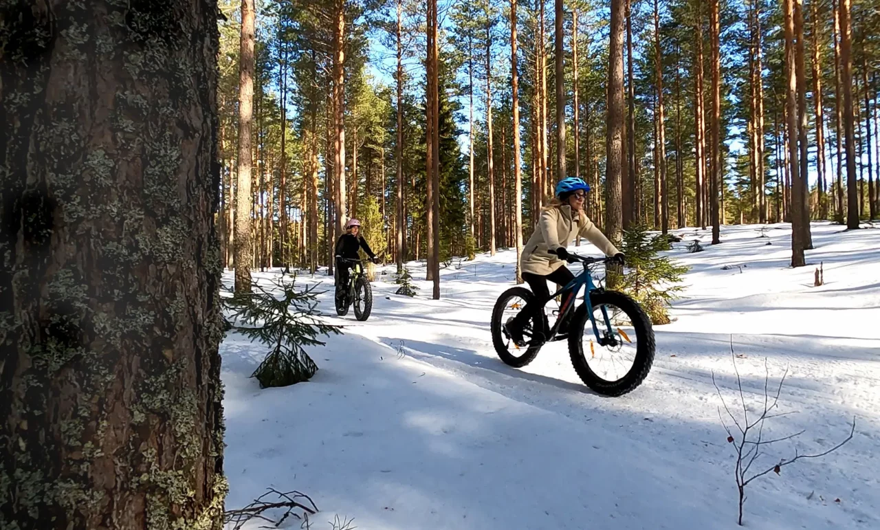 Kakasi maastopyöräilijää ajaa lumisessa metsässä.