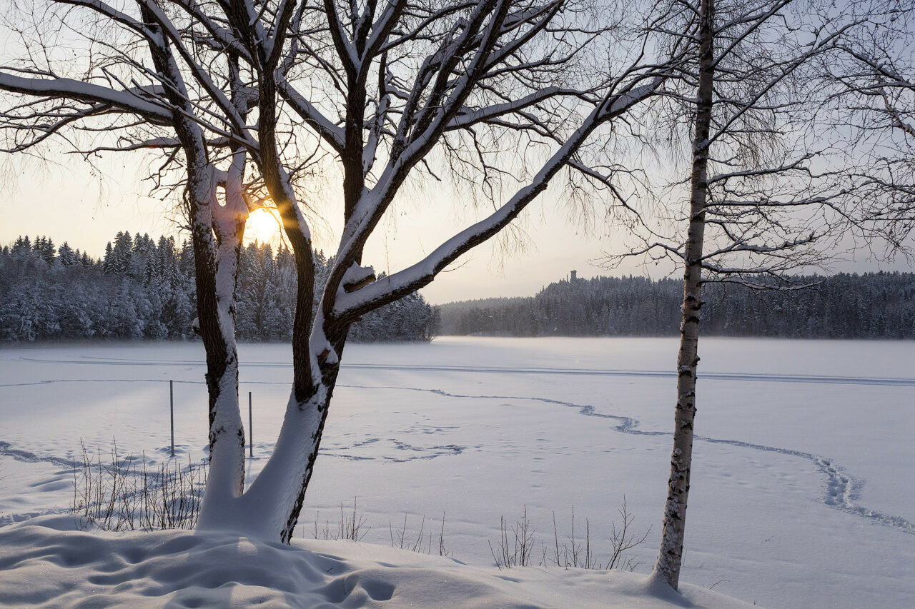 Jäätynyt järvi on lumen peitossa. Aurinko pilkottaa kaukaa metsän takaa.