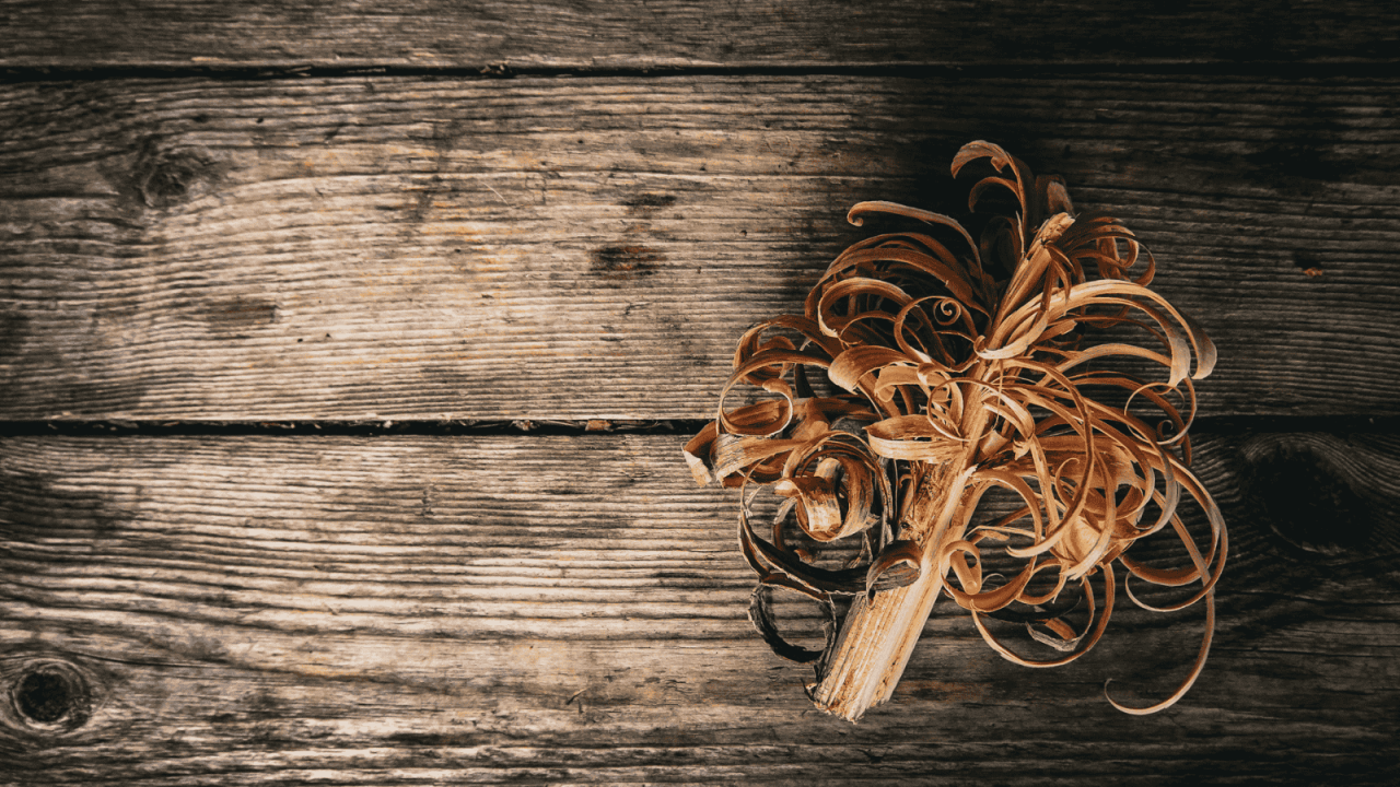 Puisella alustalla puusta vuollettu sytyke.