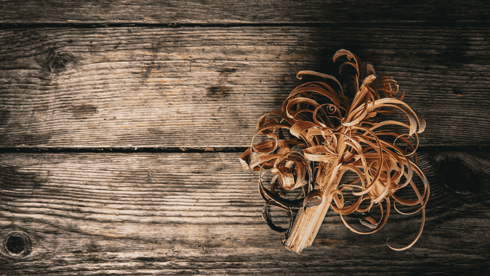 Puisella alustalla puusta vuollettu sytyke.