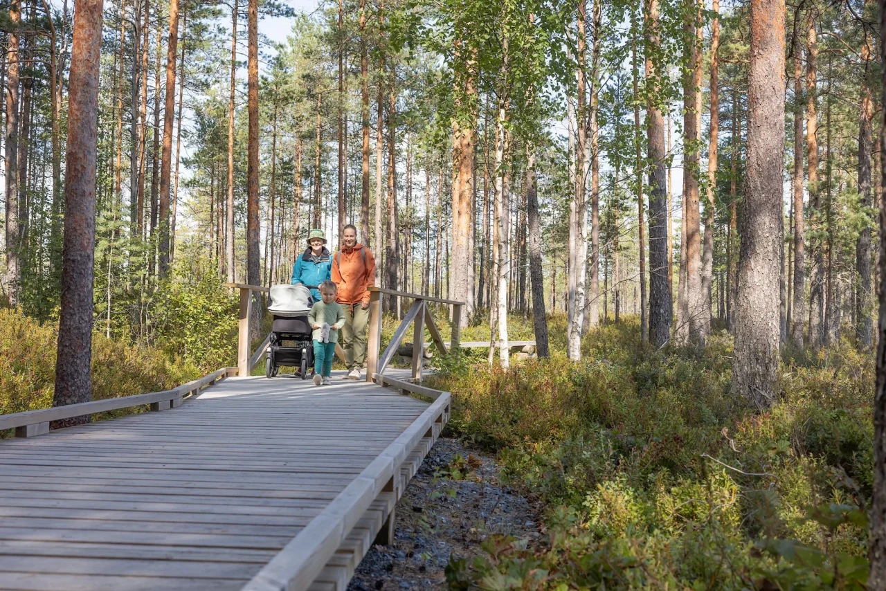 Kaksi naista kävelee lastenvaunuja työntäen pitkospuureitillä. Lapsi juoksee vaunujen vierellä.