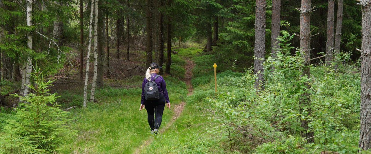 Nainen kävelemässä reppu selässä polkua pitkin vihreältä heinäalustalta kohti metsää.