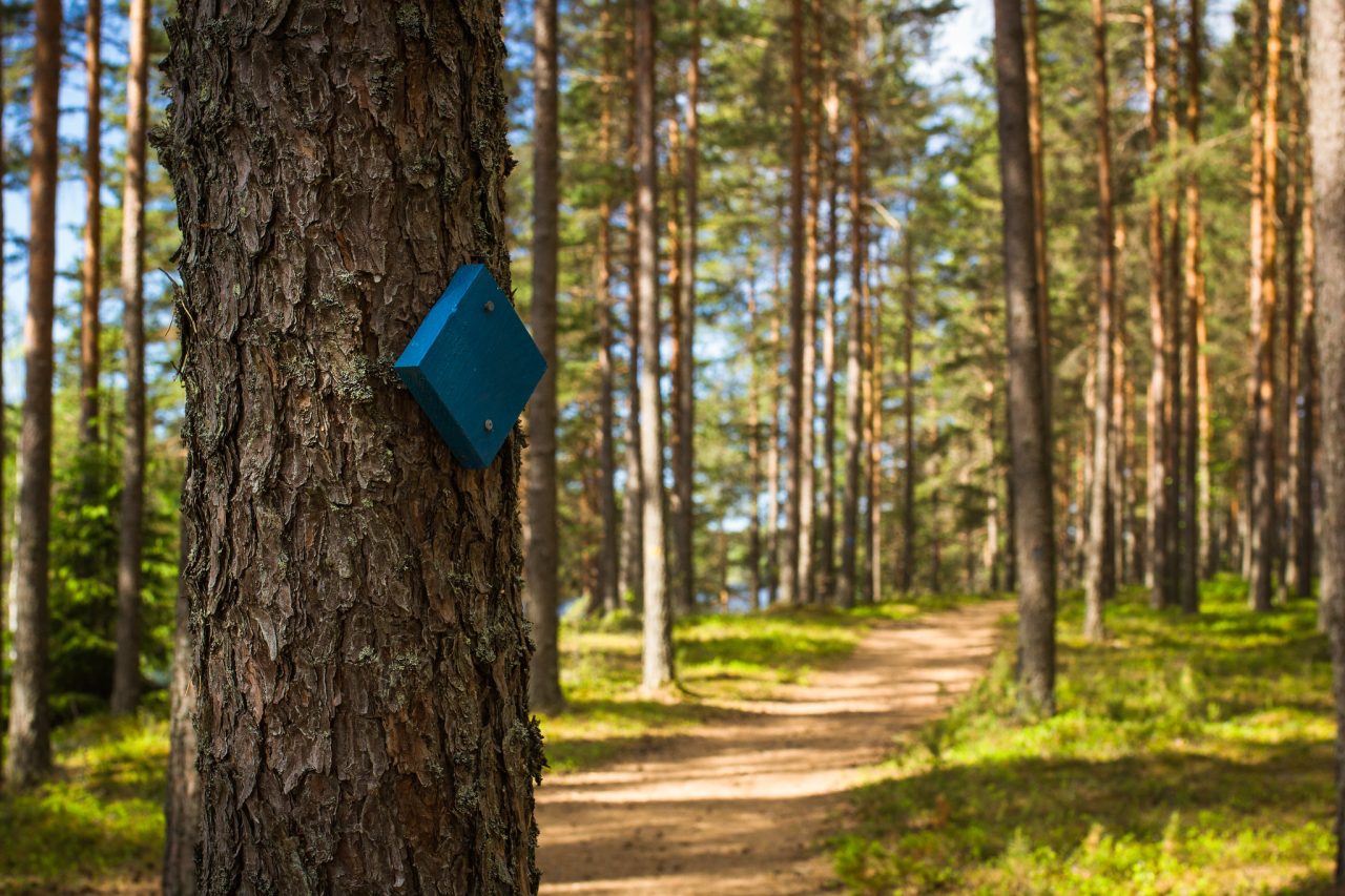 Sininen vinoneliö toimii reittimerkkinä Hämeen Ilvesreitillä.