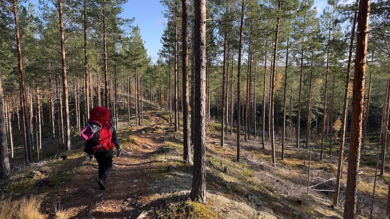 Nainen kävelee rinkka selässään kapeaa harjua pitkin. Ympäröivä metsä kertoo syksyn saapuneen ja aurinko paistaa.