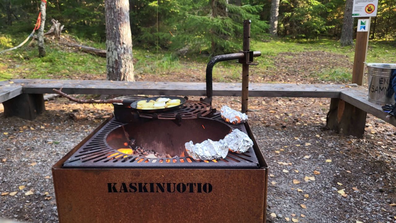 Kaskivuotio metsässä.