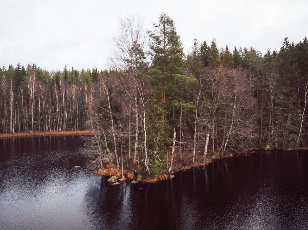 Mies seisoo kapealla niemenkärjellä. Syksy on tiputtanut lehdet puista.