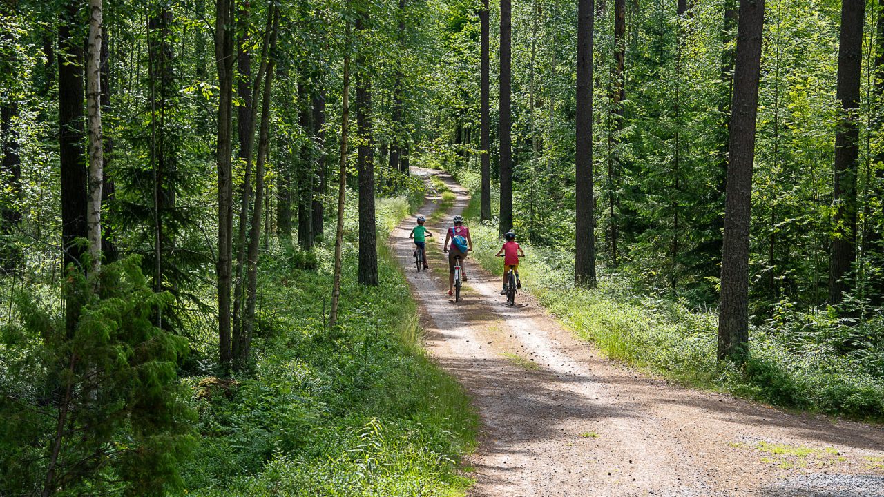 Kolme pyöräilijää soratiellä metsässä.