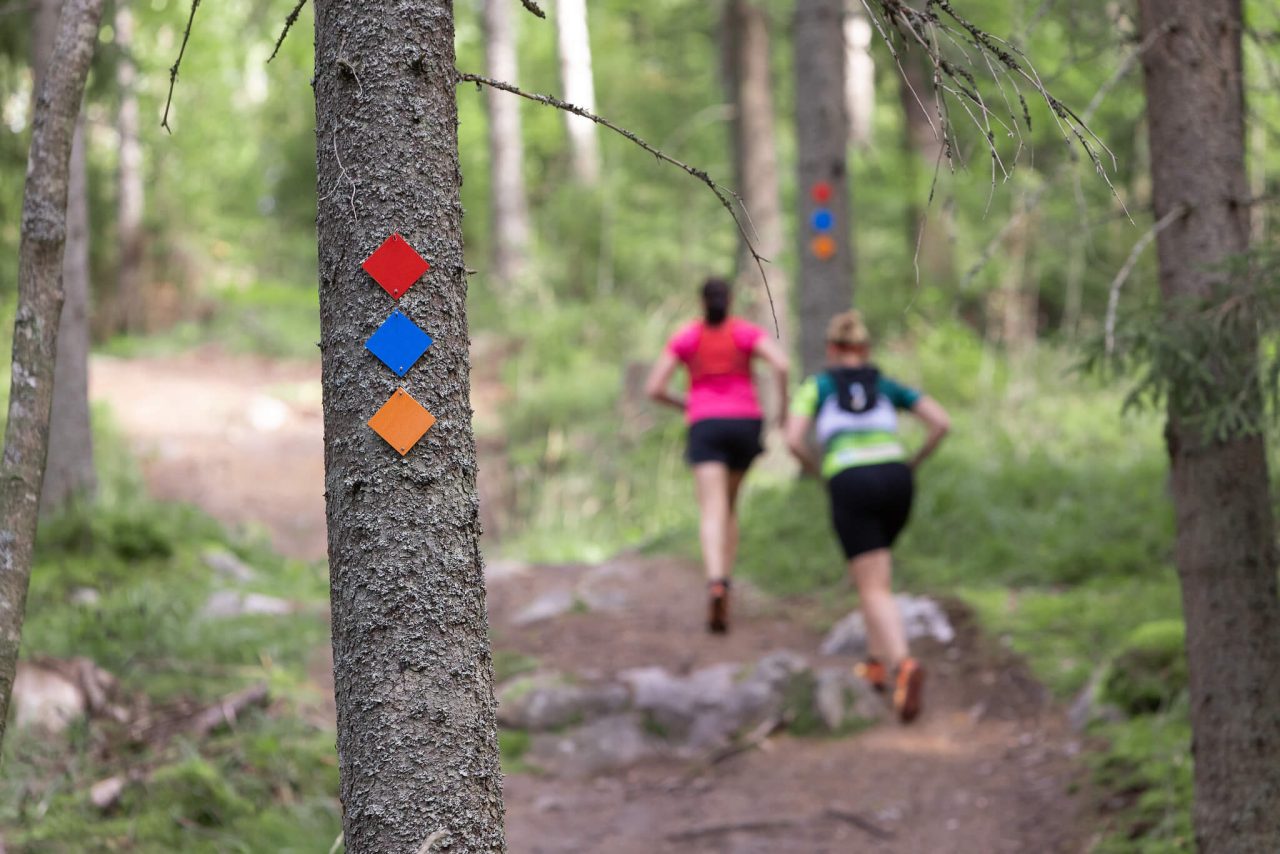 Puussa on kiinni kolme reittimerkkiä. Taustalla kaksi juoksijaa juoksevat metsäpoluilla.