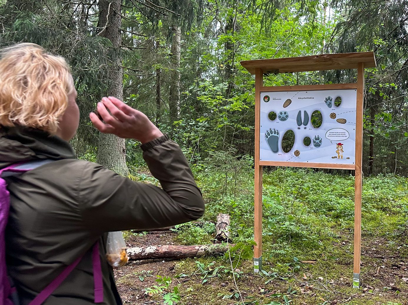 Nainen on heittämässä käpyä tauluun, jossa on eri eläinten tassujen jälkien kokoisia reikiä.