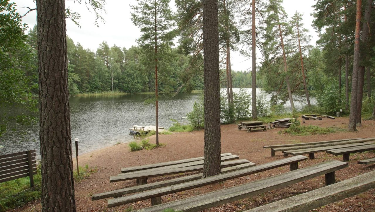 Metsän ympäröimä ulkoilualue järven rannalla.