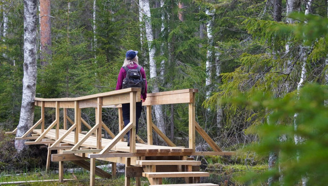 Ihminen kävelee metsässä puisella sillalla.