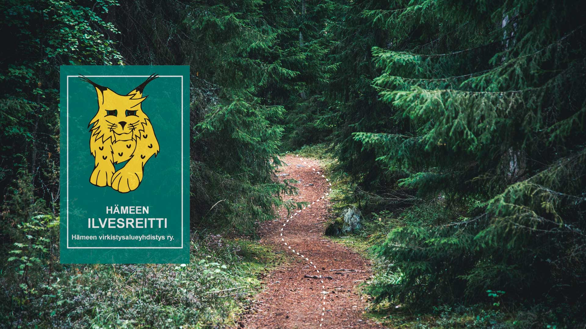 Hämeen ilvesreitti merkintä ja polku metsässä